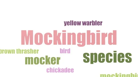 Mockingbird Wordcloud Animated Isolated Stock Footage 107226939