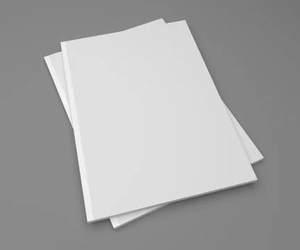 Mockup 3D illustration empty two magazines, books on gray. Stock Illustration