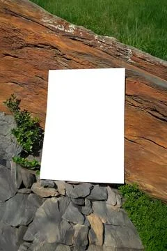 Mockup of A4 sheet of paper on tree trunk bark with green leaves Stock Photos