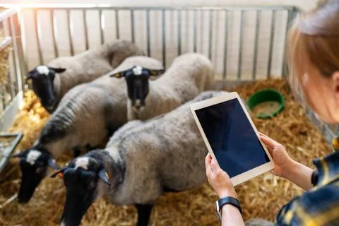 Mockup blank screen of digital tablet in hands of female farmer in front of s Stock Photos