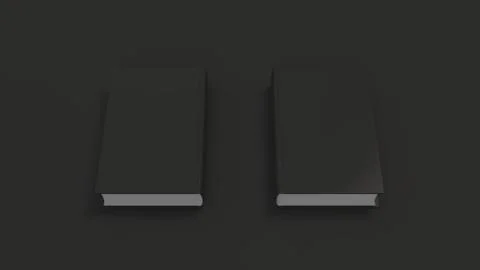 Mockup of blank vertical book Stock Illustration