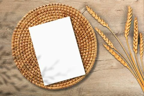Mockup canvas display Stock Photos