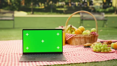 Mockup chroma key on laptop in empty city park with picnic blanket Stock Footage 341411816