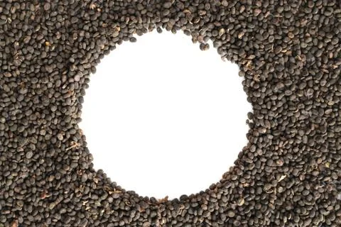Mockup circle frame of babchi dry seeds isolated on white background. Bakuchiol. 写真素材