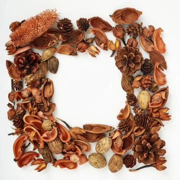 Mockup Decorative frame from a forest of dried flowers and pine cones, the fo Stock Photos