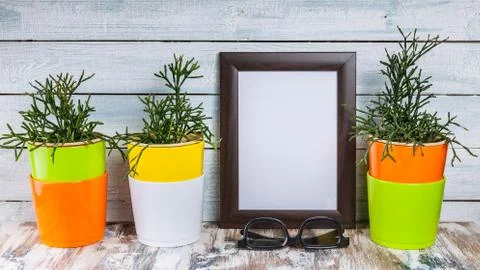 Mockup of empty photo frames and plants in multi-colored pots on a light wood Stock Photos