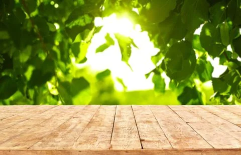 Mockup. Empty wooden deck table with foliage bokeh background. Stock Photos
