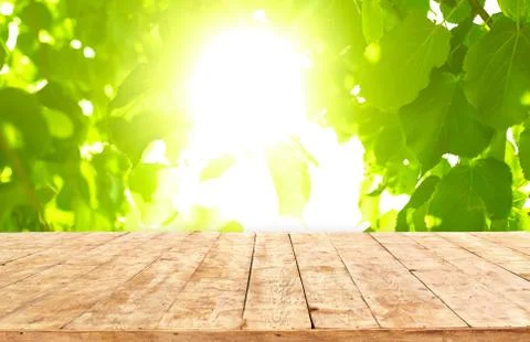 Mockup. Empty wooden deck table with foliage bokeh background. Stock Photos