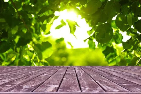 Mockup. Empty wooden deck table with foliage bokeh background. Foto stock