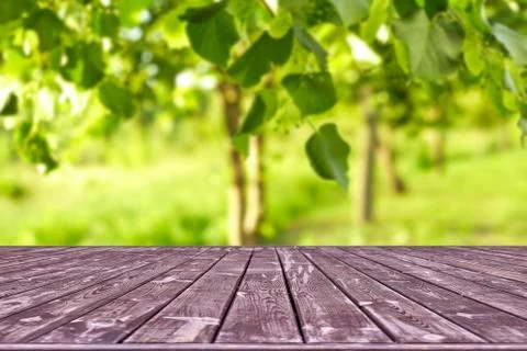 Mockup. Empty wooden deck table with foliage bokeh background. Stock Photos