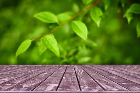Mockup. Empty wooden deck table with foliage bokeh background. Stock Photos