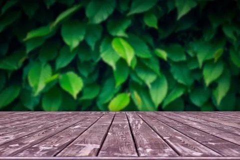 Mockup. Empty wooden deck table with foliage bokeh background. Foto stock