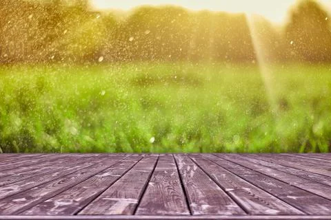 Mockup. Empty wooden deck table with foliage bokeh background. Stock Photos