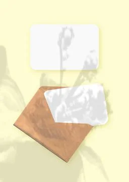 Mockup with an overlay of plant shadows on envelope with two sheets of textured Stock Illustration