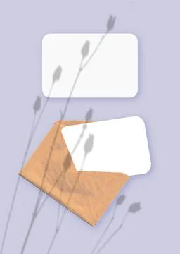 Mockup with an overlay of plant shadows on envelope with two sheets of textured Stock Illustration