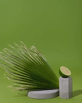 Mockup with palm leaf, lime half and concrete shapes Foto stock