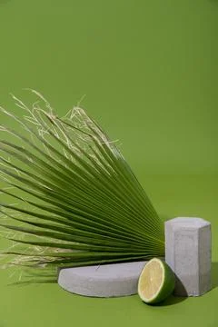 Mockup with palm leaf, lime half and concrete shapes Stock Photos