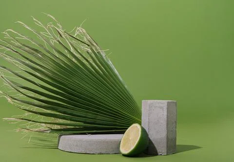 Mockup with palm leaf, lime half and concrete shapes Stock Photos