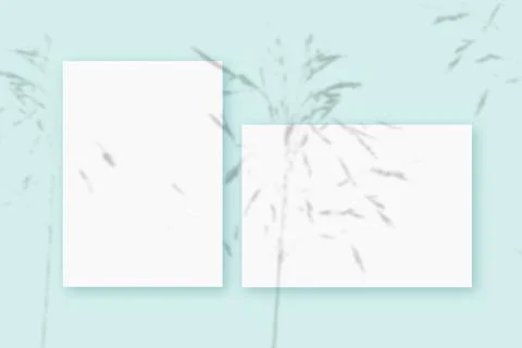 Mockup with plant shadows superimposed on an horizontal and vertical sheet of Stock Illustration