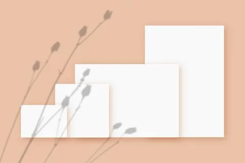 Mockup with plant shadows superimposed on several horizontal and vertical sheet Stock Illustration
