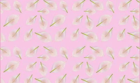 Mockup of the postcard design. pattern Beautiful pastel pink workspace decorated Stock Photos