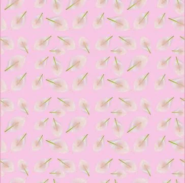 Mockup of the postcard design. pattern Beautiful pastel pink workspace decorated Stock Photos