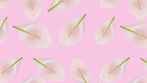 Mockup of the postcard design. pattern Beautiful pastel pink workspace decorated Stock Photos