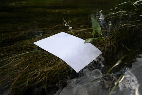 Mockup of a poster in a river with algae. Blank with copy space in water Stock Photos