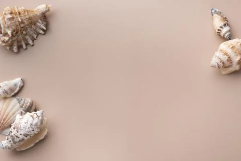 Mockup with seashell on beige background Stock Photos