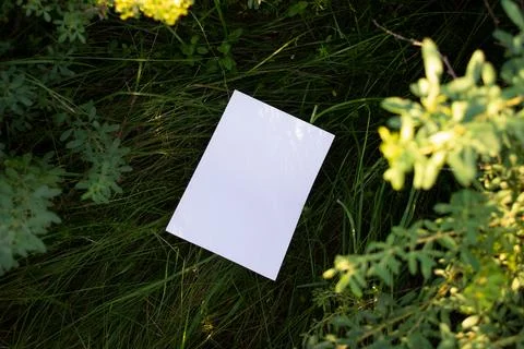 Mockup of sheet on grass with blurred branches from a bush in the foreground Stock Photos