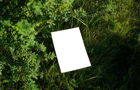 Mockup of sheet on grass with blurred branches from a bush in the foreground Stock Photos