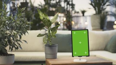 Mockup tablet with green screen on rooftop lounge table next to plant Stock Photos