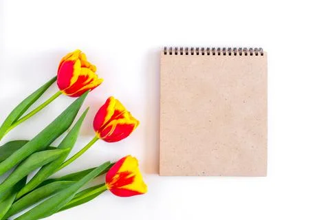 Mockup. Time of spring. Craft notebook on a white background with a red bouquet Stock Photos