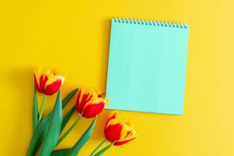 Mockup. Time of spring. Green notebook on a yellow background with a red bouquet Stock Photos