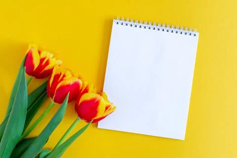 Mockup. Time of spring. White notebook on a yellow background with a red bouquet Stock Photos