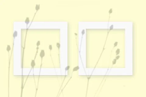 Mockup with vegetable shadows superimposed on 2 square frames of textured white Illustrazione stock