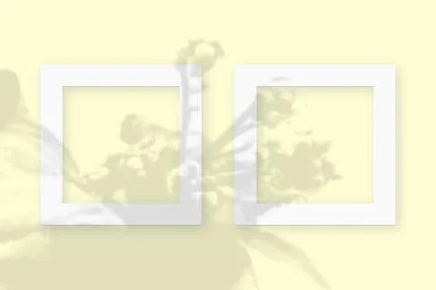 Mockup with vegetable shadows superimposed on 2 square frames of textured white Stock Illustration