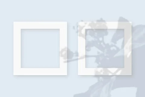 Mockup with vegetable shadows superimposed on 2 square frames of textured white Illustrazione stock