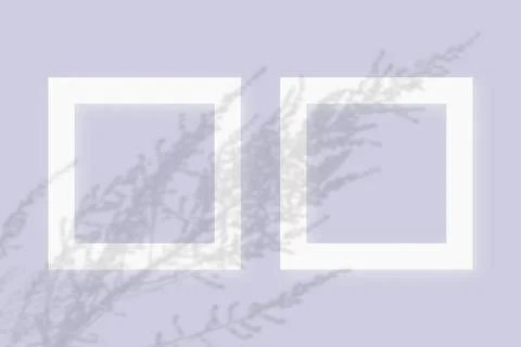 Mockup with vegetable shadows superimposed on 2 square frames of textured white Stock Illustration