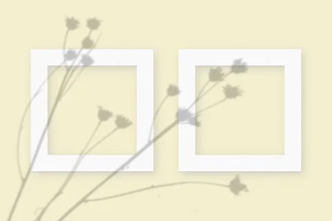 Mockup with vegetable shadows superimposed on 2 square frames of textured white 스톡 일러스트