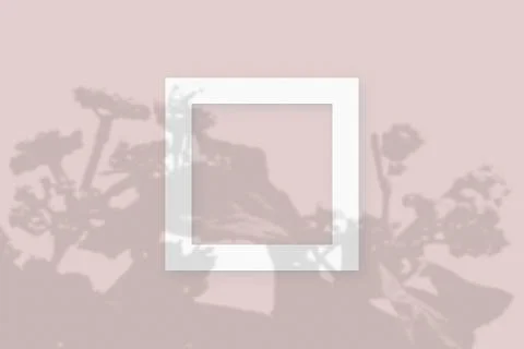 Mockup with vegetable shadows superimposed on 2 square frames of textured white イラスト素材