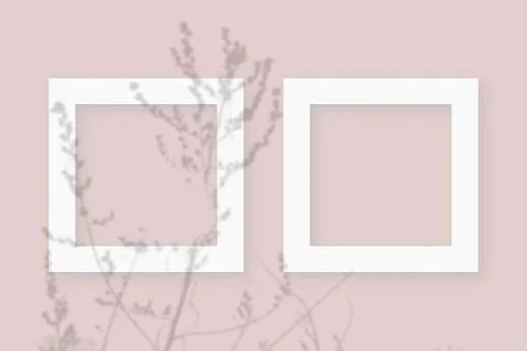 Mockup with vegetable shadows superimposed on 2 square frames of textured white イラスト素材