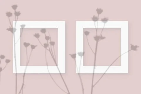 Mockup with vegetable shadows superimposed on 2 square frames of textured white Illustrazione stock