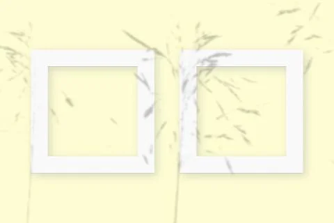 Mockup with vegetable shadows superimposed on 2 square frames of textured white Stock Illustration