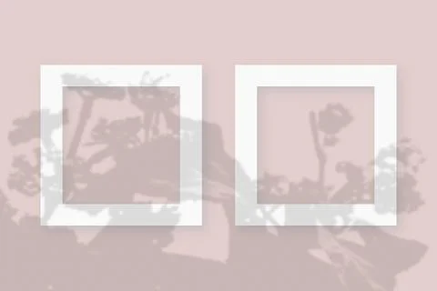 Mockup with vegetable shadows superimposed on 2 square frames of textured white Stock Illustration