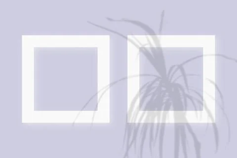 Mockup with vegetable shadows superimposed on 2 square frames of textured white Stock Illustration