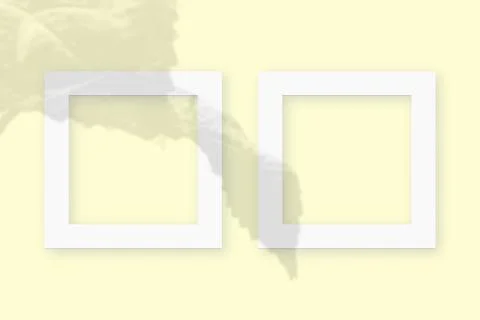 Mockup with vegetable shadows superimposed on 2 square frames of textured white Illustrazione stock