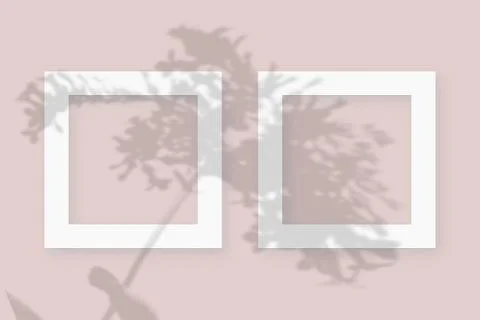 Mockup with vegetable shadows superimposed on 2 square frames of textured white Illustrazione stock