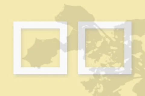 Mockup with vegetable shadows superimposed on 2 square frames of textured white Stock Illustration