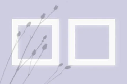 Mockup with vegetable shadows superimposed on 2 square frames of textured white Stock Illustration